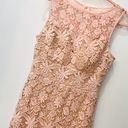 Bisou Bisou Blush Pink Lace dress size 8. Photo 5