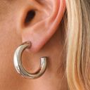 House of Harlow  1960 Chunky Hoop earrings Photo 0