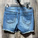 Dear John  Penny Raw Hem Ripped Shorts Photo 1