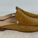 Gianvito Rossi Brown Suede Slip On Flats Mules Photo 4