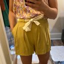 Lush Clothing Shorts Photo 1