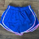 Nike Dri-Fit Shorts Photo 0