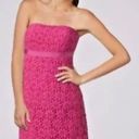 Lilly Pulitzer  Bowen Lace Dress Pink Strapless NEW Photo 4