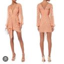Michelle Mason NWT  Intermix Polka Dot Mini Dress, Blush Pink, size 8, Photo 1