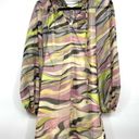 Ted Baker NWT  London Balloon Long Sleeve Dress Women's Small Photo 3