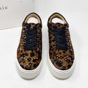 Joie [] Handan Studded Leopard Print Calf Hair Platform Sneakers NWT Sz 40 US 10 Photo 1