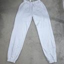 Brandy Melville NWT  Rosa Light Blue Sweatpants Photo 2