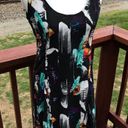 BB Dakota  Black Feather Sleeveless Party Dress Photo 1