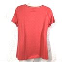 Westport  | NEW dark coral tee shirt top v-neck PS Photo 6