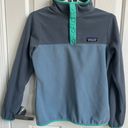 Patagonia Synchilla Snap-T Fleece Pullover Photo 0