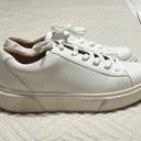 Steve Madden White Platform Sneakers Photo 1