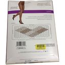 Hanes  Absolutely Ultra Sheer Control Top Sandalfoot Silver Panty Hose Size E Photo 1