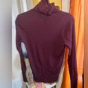 Polo Burgundy  Ralph Lauren Turtleneck Top Photo 2