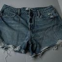 Carly Jean Los Angeles Denim Shorts L Photo 0