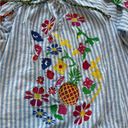 ZARA  BBWM Woman Striped Floral Fruit Embroidered Balloon Sleeve Boho Peasant Top Photo 12