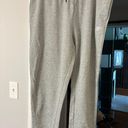 Nike Gray Sweatpants Photo 0