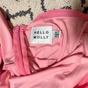 Hello Molly Pink Dress Photo 2