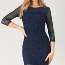 Allegra K   Dress Mesh Sheer Long Sleeve Stretch Knit Floral Lace Bodycon Large Photo 1