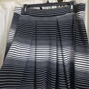 TJ Maxx Skirt Photo 2