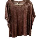 Ava & Viv  Womens Plus Size 4X Blush Pink Crushed Velvet Short Sleeve Blouse Photo 0