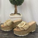 Sam Edelman  Tan Woven Platform Espadrille Slip On Heel Shoes 8 Photo 0