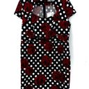 Grace Karin NEW  Black Red Rose Floral Polka Dot 50s Retro Cap Sleeve Dress 3X Photo 1