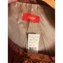 Barney’s New York Barneys New York CO-OP Women metallic brown ￼ Pleated Skirt Size 0 Nwt Photo 2