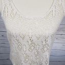 Kirra Cream & Gold Metallic Mesh Tank Top Small Photo 3