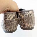 Toms  Reptile Snake Print Classic Flats Women’s Size 9 Gray One for One Neutrals Photo 6