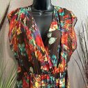 Luxology #58  Fall, print dress size L Photo 1