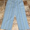 J.Jill  Stretchy Blue Stripes Wide Leg Casual Mid Rise Capris 6P Photo 1