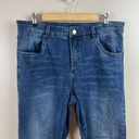 Universal Standard  Seine High Rise Skinny Jeans Size 16 Dark Wash Stretch Blue Photo 3