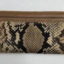 Coach  Madison Python Snake Print Zippy Wallet Wristlet Light Gold Natural Beige Photo 6