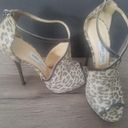 Jimmy Choo Heels Photo 0