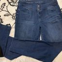 Lane Bryant High Waisted Jeans Size 16W Photo 0