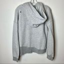 n: Philanthropy Sparrow Distressed Hoodie Photo 6