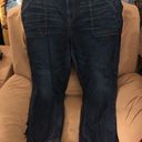 Torrid  24W jeans Photo 0