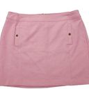 The Loft  Plus Size 16 Pink Shift Skirt Gold Buttons Barbie Academia Preppy NEW Photo 0