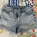 American Eagle Outfitters Shorts Photo 0