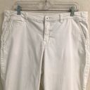 Lane Bryant  white cuffed pants 16 Photo 2