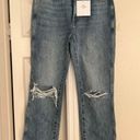 Pistola Eden High Rise Mom Jean- New Photo 1