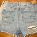 American Eagle Outfitters Shorts Photo 1