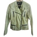 Miss Sixty  M60 Light Green Faux Leather Moto Jacket Womens Size S Zippers Photo 0