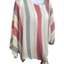 Hyped Unicorn  Cropped Doleman sleeve stripped multicolored semi sheer top SMALL Photo 1