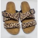 American Eagle  Leopard Strappy Sandals Size 7 Photo 1