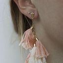 Ettika  Pink Daydreamer Tassel 18k Gold Plated Earrings Photo 0