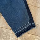 The Loft  Outlet jeans, size 16 Photo 4
