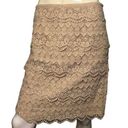 J. McLaughlin  Size 6 Nude Beige Lace Tiered Pencil Straight Knee Length Skirt Photo 0