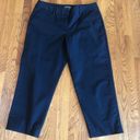 Apt. 9  Stretch Maxwell black Capri Pants size 16 Photo 0