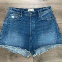 Abercrombie & Fitch  4” The Dad High Rise Blue Jean Shorts Size 31 Photo 0